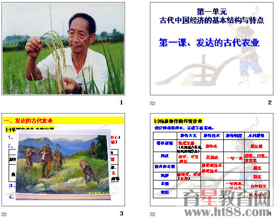 查看预览图