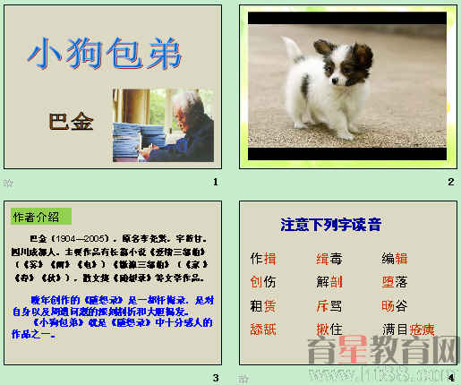 查看预览图