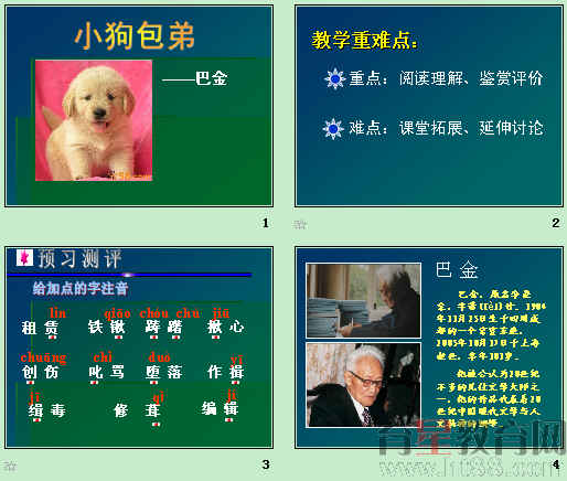 查看预览图