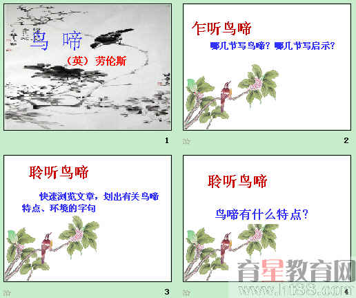 鿴Ԥͼ