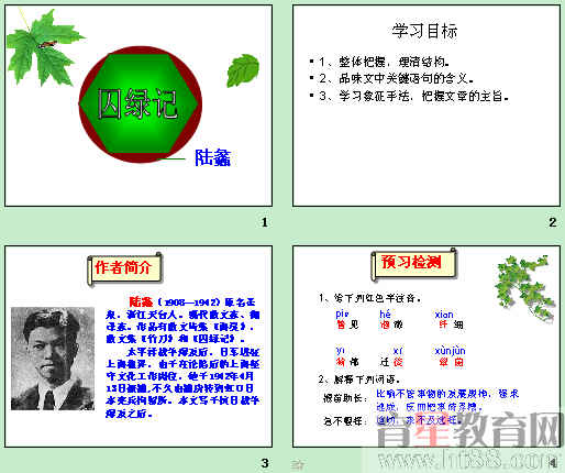 鿴Ԥͼ
