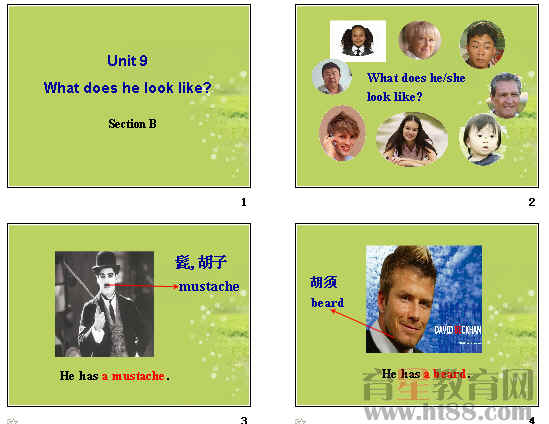 鿴Ԥͼ
