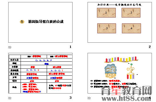 查看预览图