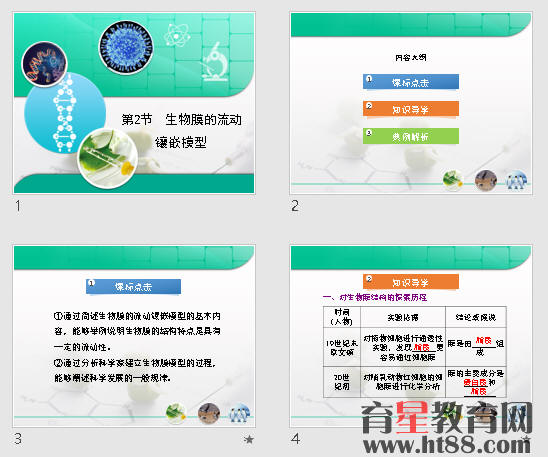 鿴Ԥͼ
