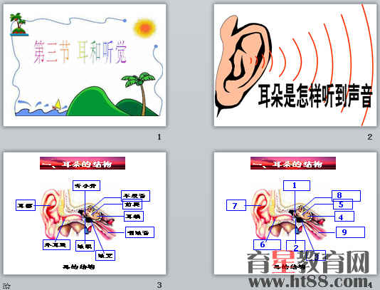 鿴Ԥͼ