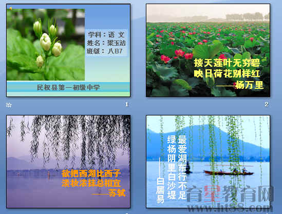 鿴Ԥͼ