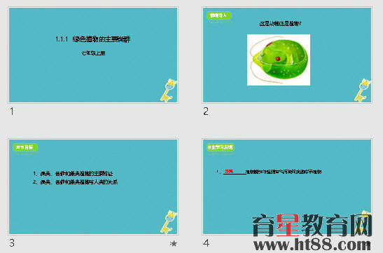 查看预览图