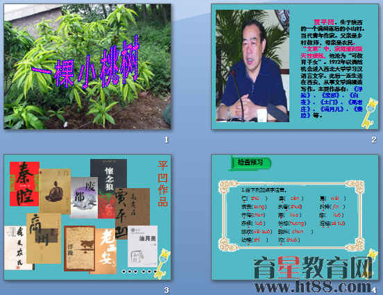 查看预览图