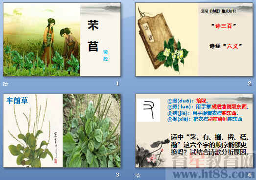 查看预览图