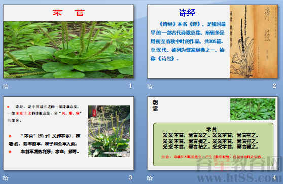 查看预览图