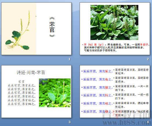 查看预览图