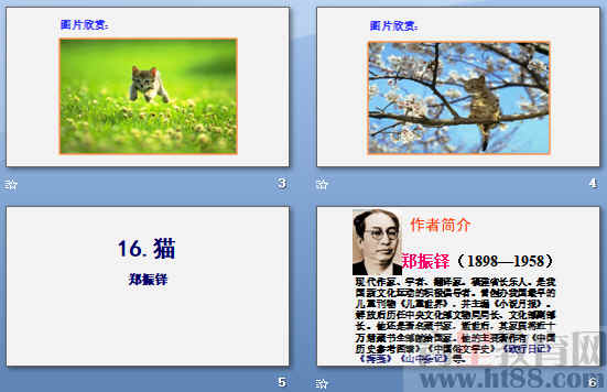 查看预览图