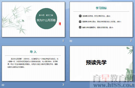 查看预览图
